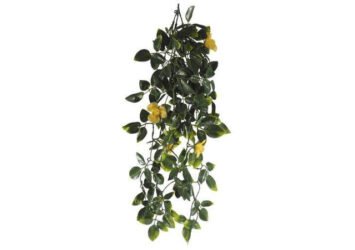 Buy Quality Hanging Plants And Beautify Your Outdoors -Forever Hedge