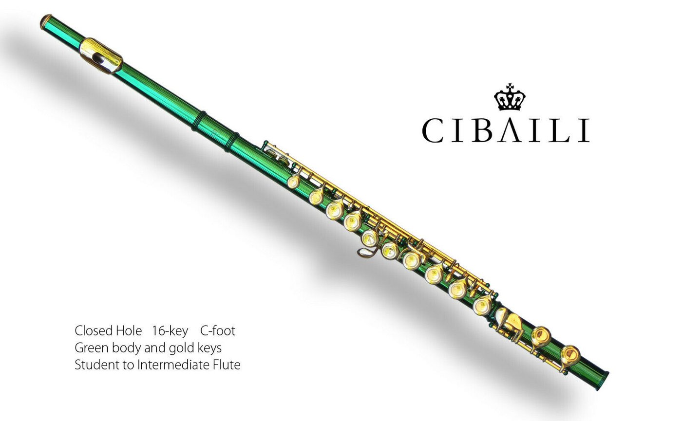 GREEN C foot CIBAILI Flute • NEW • Case • Perfect For School • Free Express •
