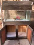 Fish tank & stand & accessories