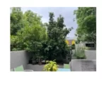Handyman & Yard maintenance Person Wanted