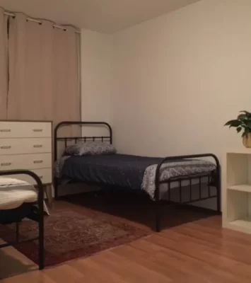 Manly Vale Share Room - 2 x Flatmates wanted
