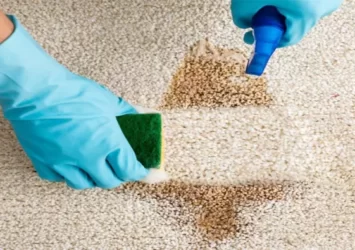 Top Carpet Care and Cleaning Services