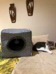 Cat plush/cushion cube bed