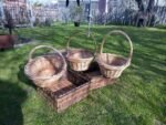 vintage cane basket cane crate shopping basket $10 each
