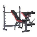 DEMO- Powertrain Bench Press Home Gym Situp Decline Incline