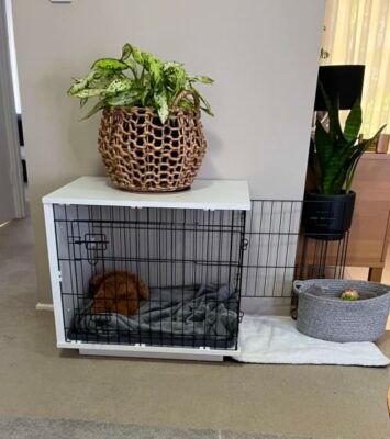 Dog Crate Modern Design