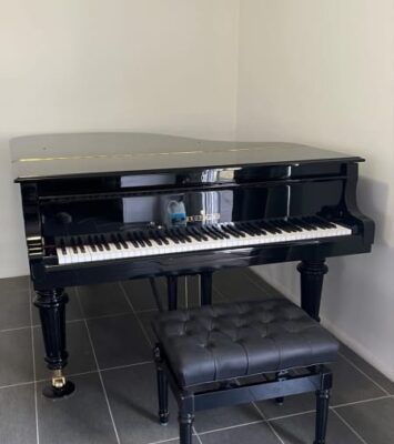 Best Brodmann Baby Grand Piano near me - NANANGO