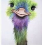 Best Emu full round drill diamond art 30cm x 40cm near me - Blacktown