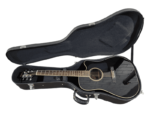 Best Washburn Heritage Series D10SCE Acoustic-Electric Cutaway Dreadnought near me - Norlane
