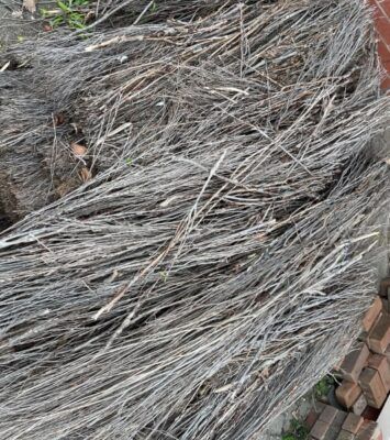 Best BRUSH FENCE - REPAIR BRUSH - GIVE AWAY - PICKUP FREE near me - Building Materials