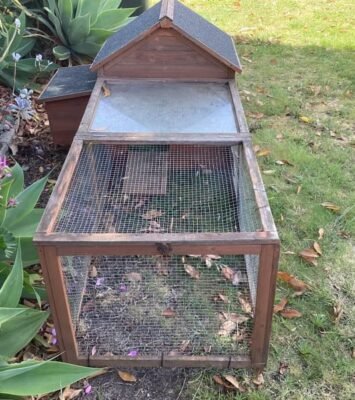 Best Chicken coop house 🐓 $30 or nearest offer NO CHICKENS with it near me - Birds