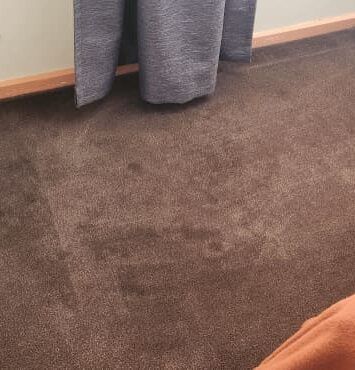 Best Carpet - New unused near me - Brighton
