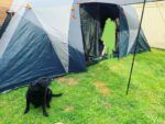Best Ten person nightfall done tent near me - Clare