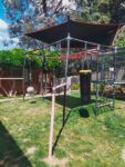 Best Vuly Quest Monkey Bars and Climbing Frame - Medium near me - Merewether