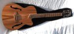 Best Martinez F Hole Guitar Acc/Elec With Gig Bag near me - Tarragindi