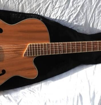 Best Martinez F Hole Guitar Acc/Elec With Gig Bag near me - Musical Instruments