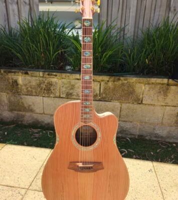 Best Cole Clark FL3 RDCL 11 months old near me - Books, Music & Games